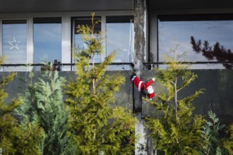 A Santa Claus figure hangs on a concrete behind fir trees, Wuppertal, Germany