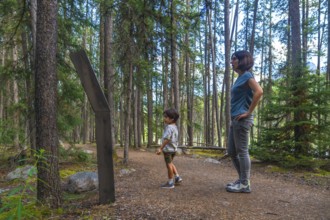Mother and son reading an information sign while walking a forest path in banff national park,