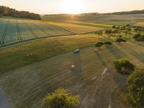 A car is parked in the middle of a rural field, surrounded by meadows and trees at sunset, deer