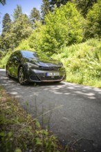 Car driving on narrow forest road surrounded by thick greenery and sunlight, Deer e-car sharing,