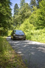 Black car driving on a narrow road between tall, green trees in the forest, deer e-car sharing,