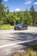 A black car drives on a winding road through a green forest on a sunny summer day, deer e-car