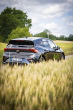 Car driving on a country road through a green field, Deer E-Car Sharing, Cupra electric car,