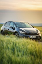 Black car standing in a field during a colorful sunset, Deer e-car sharing, Cupra electric car,