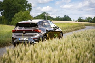 Car on a dirt road surrounded by high fields and cloudy sky, Deer E-car sharing, Cupra electric