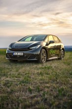 Black car standing in a meadow, golden sky in the background, Deer e-car sharing, Cupra electric