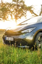 Close-up of a black car in a meadow at sunrise, Deer e-car sharing, Cupra electric car, Germany