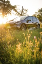 Black car in front of sunset in a meadow, deer e-car sharing, Cupra electric car, Germany