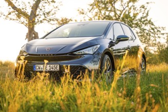 Black car standing in a meadow in sunlight next to a tree, Deer E-Car Sharing, Cupra electric car,