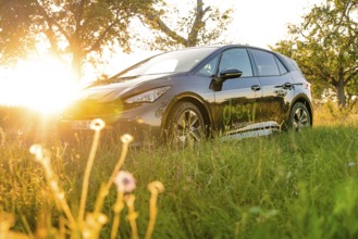 A car in a meadow during sunset, surrounded by flowers and natural light, deer e-car sharing, Cupra