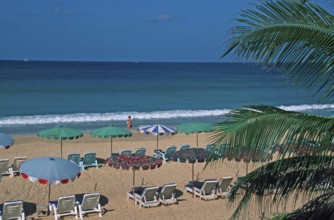 Palm tree, umbrellas and sun loungers at Karon Beach, two years in front of the tsunami, Ko Phuket,