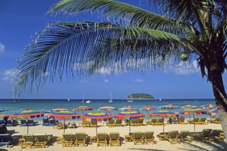 Umbrellas, palm tree, island, Kata Beach, two years in front of the tsunami, Ko Phuket, Thailand,