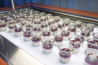 Bright dessert glasses with berries and chocolate decoration, Christmas party Dekra Congresshotel