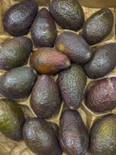 Avocado Avocados Superfood on display from grocery store grocery store grocery store deli