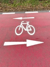Signet of stylized bicycle symbol on wide red road of bicycle road, above including arrows for both