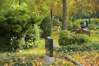 An autumnal cemetery with gravestones and trees, graves in the green, quiet, peaceful atmosphere,