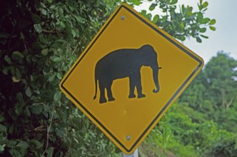 Elephant warning sign, Ko Phuket, Thailand, December 2002, vintage, retro, old, historic