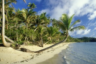 Beach on Tavewa Island, Yasawa Islands, Fiji