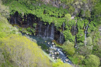 Waterfalls plunge over mossy rocks into a clear stream surrounded by lush greenery, Dashbashi Gorge