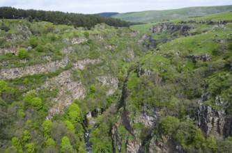 Extensive landscape with green vegetation and high rock walls, Dashbashi Gorge, Khrami River,