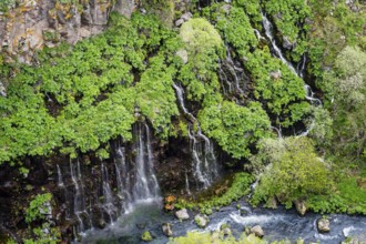 Evergreen backdrop with small waterfalls and rocky elements, Dashbashi Gorge and Waterfall, Khrami