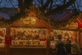 Christmas market on Holstenplatz in Kiel, city center, tree, pedestrian zone, early evening, sales