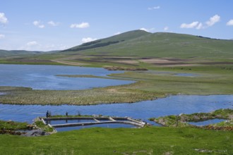 Calm lake and green hills under clear blue sky, Lake Saghamo, Samtskhe—Javakheti region, Samtske