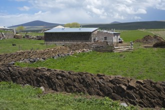 Farm with natural stone structures and green meadow in rural surroundings, cow dung walls,