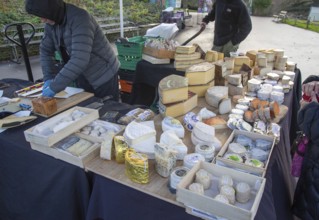 Cheese stall at winter market, Bandstand Terrace, Horniman museum gardens, Forest Hill, south