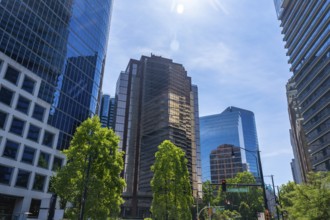 Sunlight illuminates the modern skyscrapers and lush green trees of vancouver's financial district,