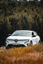 A white car in the middle of a colorful meadow landscape with trees in the background, Deer