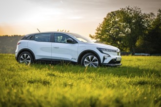 White car in a green meadow with trees in the background, Deer e-Carsharing, Renault Megane, Calw,