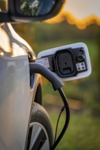Car is charged at sunset at a charging station for electric cars, Deer E-Carsharing, Renault