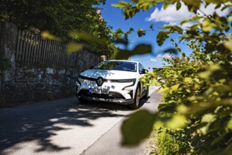 White car shaded by leaves on a sunny road, Deer e-Carsharing, Renault Megane, Calw, Germany