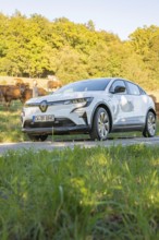 White car standing in nature in a meadow at sunset, Deer e-Carsharing, Renault Megane, Calw,
