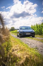 Car driving on a country road surrounded by fields and blue skies, Deer E-Carsharing, Tesla Model