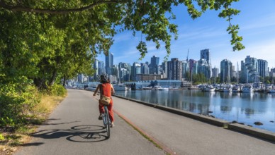 On a sunny summer day, a woman enjoys a leisurely bike ride along the seawall in stanley park, with