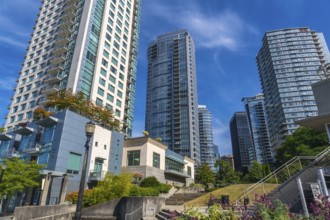Modern skyscrapers rise above a green park in vancouver, british columbia, creating a vibrant urban
