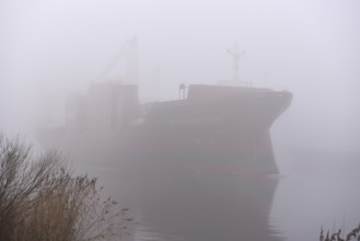 Freighter STADIONGRACHT in fog in the Kiel Canal, NOK, Kielkanal, Kielcanal, Schleswig-Holstein,