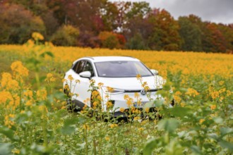 An SUV stands in a yellow flower field with autumn trees in the background, Deer E-Carsharing, VW