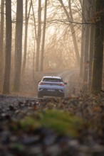 A car drives at sunrise on a forest path surrounded by trees, Deer E-Carsharing, VW ID4, Calw,