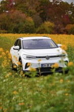 A white SUV drives through a blooming field surrounded by autumn trees, Deer E-Carsharing, VW ID4,