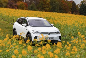 A white car drives through a blooming yellow field in autumn, Deer E-Carsharing, VW ID4, Calw,