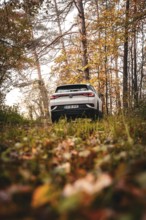 SUV on a forest path surrounded by autumn trees, deer e-car sharing, VW ID4, Calw, Germany