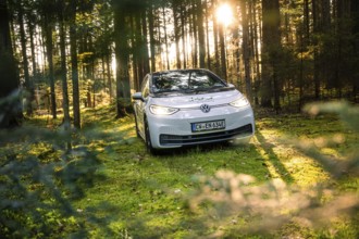A car is parked in a sparse forest, surrounded by trees and sunlight, Deer E-Carsharing, VW ID3,