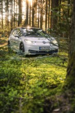 A car is parked in the shady forest next to a tree trunk under the rays of sunlight, Deer
