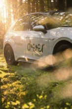 A car in the forest, illuminated by sunbeams, promotes a car sharing offer, Deer E-Carsharing, VW