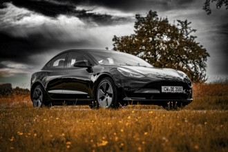 Black car parked on country road, dramatic clouds in the sky surrounded by meadows, Deer