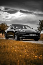 Black car on country road with orange fields under dramatic sky, Deer E- car sharing, Tesla Model