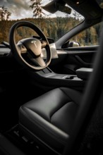 Interior view of a Tesla with a view of the steering wheel and nature, Deer e-Carsharing, Tesla